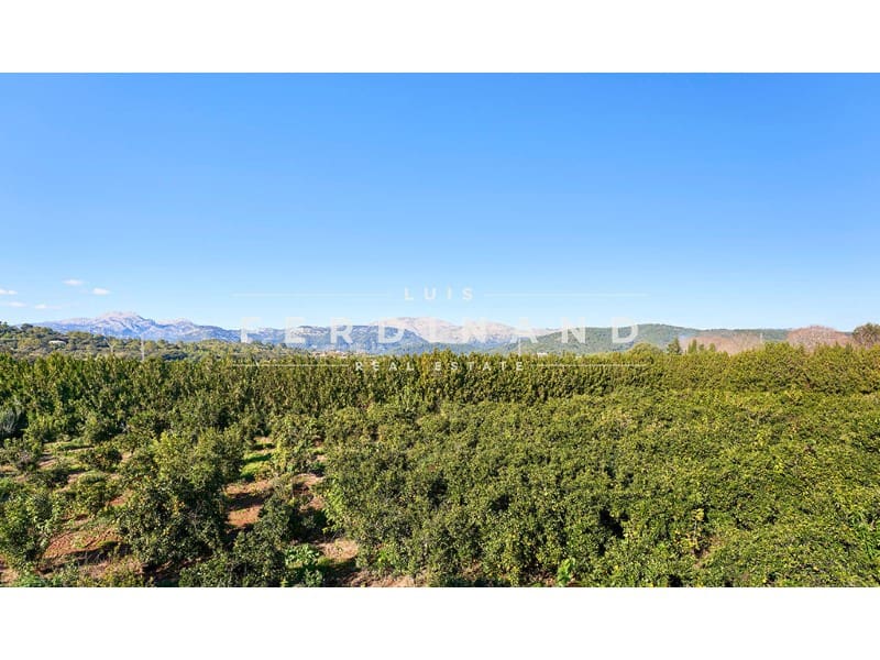 6 bedroom Finca/Country House for sale in Buger with pool - € 2,500,000 (Ref: 9651740)