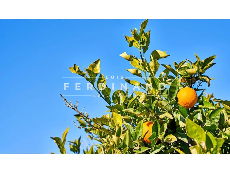 6 bedroom Finca/Country House for sale in Buger with pool - € 2,500,000 (Ref: 9651740)