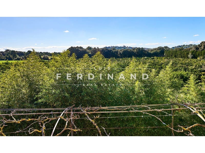 6 bedroom Finca/Country House for sale in Buger with pool - € 2,500,000 (Ref: 9651740)