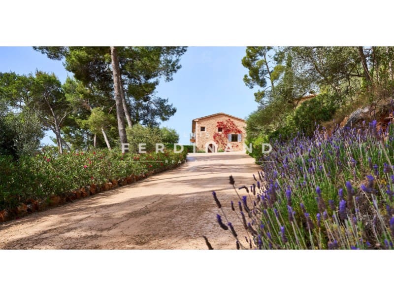 5 Zimmer Finca/Landgut zu verkaufen in Santa Maria del Cami mit Pool - 6.500.000 € (Ref: 9651750)