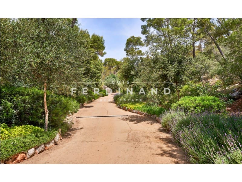 5 Zimmer Finca/Landgut zu verkaufen in Santa Maria del Cami mit Pool - 6.500.000 € (Ref: 9651750)