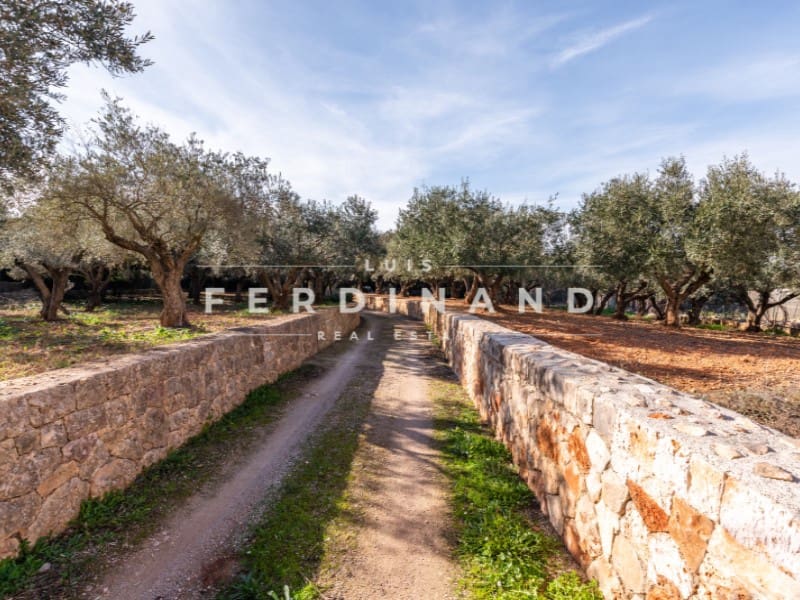 6 Zimmer Finca/Landgut zu verkaufen in Sencelles mit Pool - 2.200.000 € (Ref: 9651752)