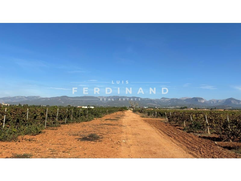 Area Edificabile in vendita in Santa Maria del Cami - 1.250.000 € (Rif: 9651758)