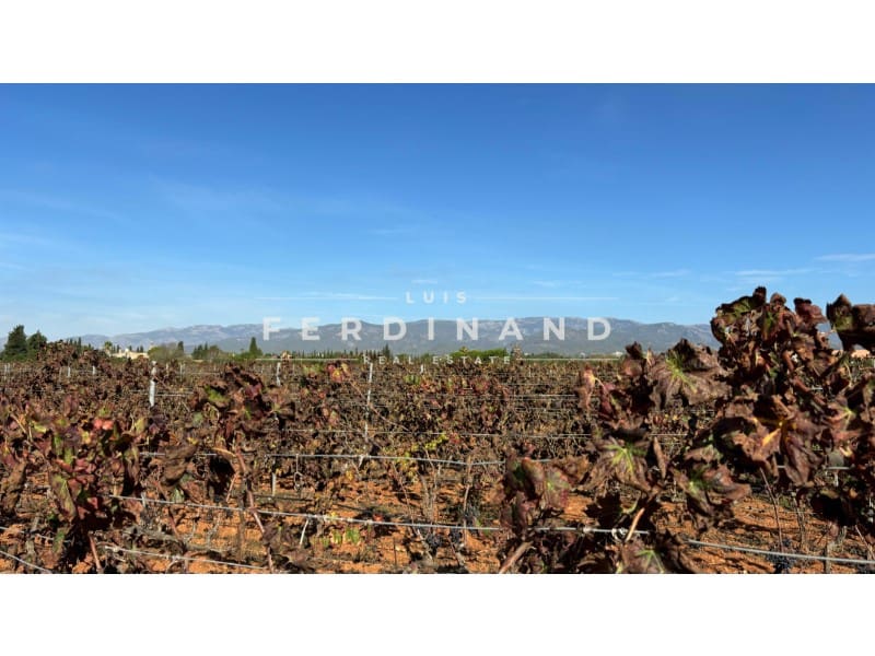 Area Edificabile in vendita in Santa Maria del Cami - 1.250.000 € (Rif: 9651758)