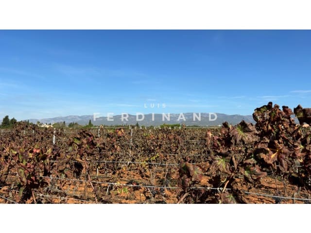 Area Edificabile in vendita in Santa María del Camí - 1.250.000 € (Rif: 9651758)