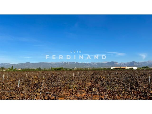 Area Edificabile in vendita in Santa María del Camí - 1.250.000 € (Rif: 9651758)