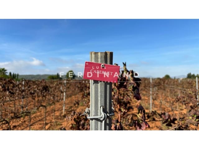 Area Edificabile in vendita in Santa María del Camí - 1.250.000 € (Rif: 9651758)