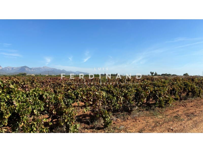 Area Edificabile in vendita in Santa Maria del Cami - 1.250.000 € (Rif: 9651758)