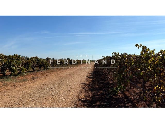 Area Edificabile in vendita in Santa María del Camí - 1.250.000 € (Rif: 9651758)