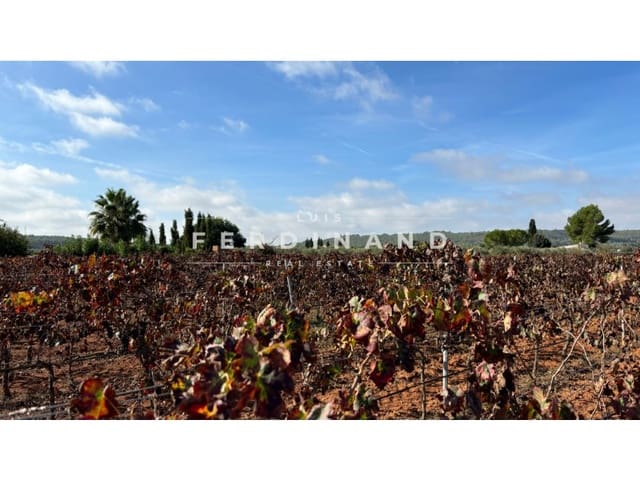 Area Edificabile in vendita in Santa María del Camí - 1.250.000 € (Rif: 9651758)