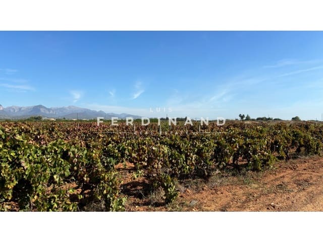 Area Edificabile in vendita in Santa María del Camí - 1.250.000 € (Rif: 9651758)