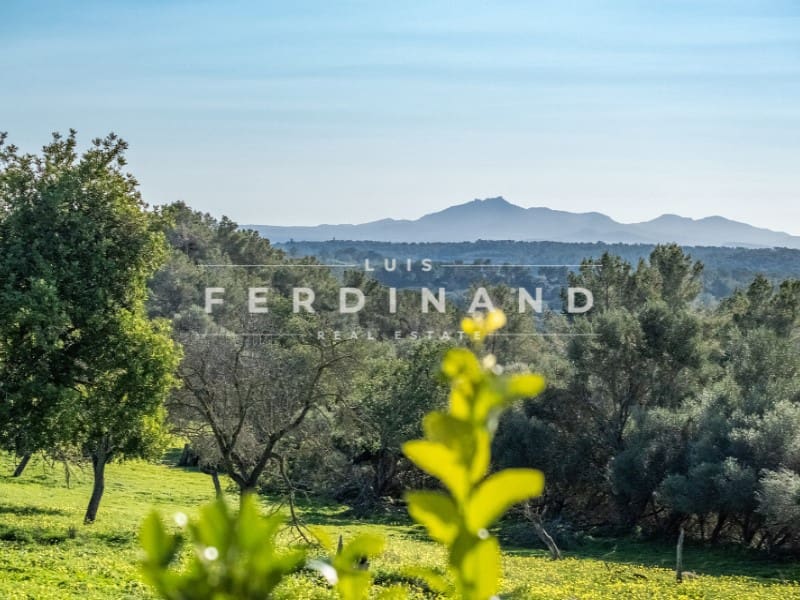 5 sovrum Finca/Hus på landet till salu i Montuiri med pool - 2 950 000 € (Ref: 9651762)