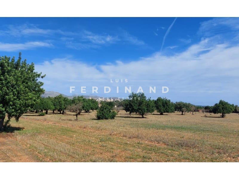 4 bedroom Finca/Country House for sale in Buger with pool - € 1,990,000 (Ref: 9651768)