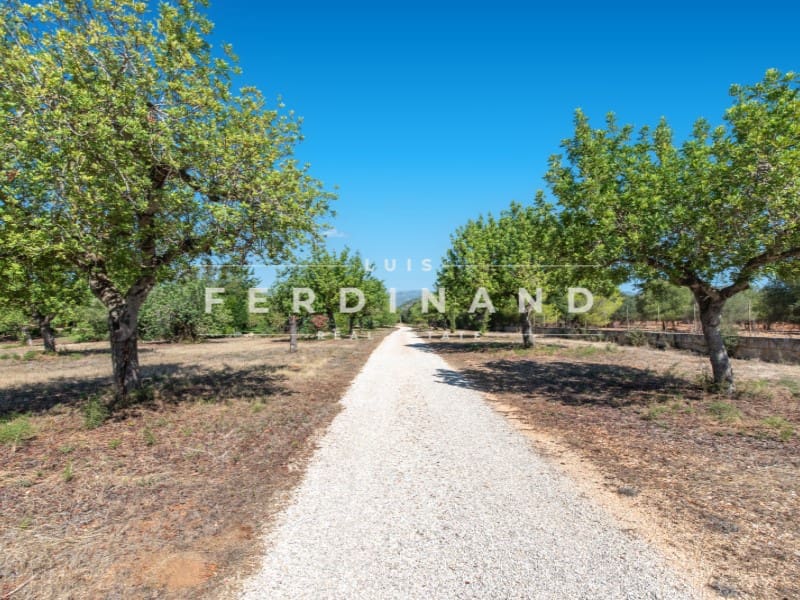 5 Zimmer Finca/Landgut zu verkaufen in Santa Maria del Cami mit Pool - 6.600.000 € (Ref: 9651772)