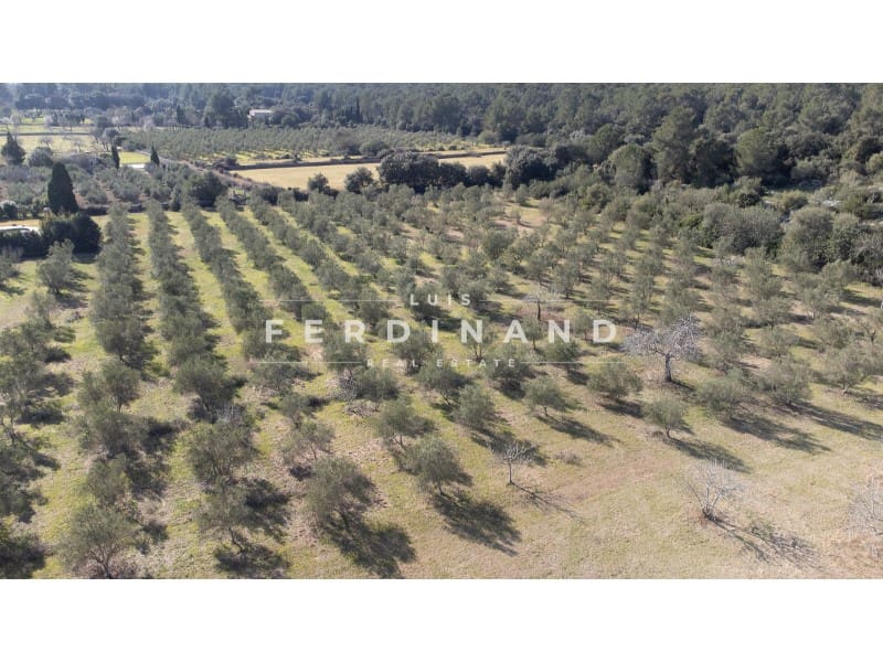 12 sovrum Finca/Hus på landet till salu i Pollensa / Pollenca med pool - 9 000 000 € (Ref: 9666271)