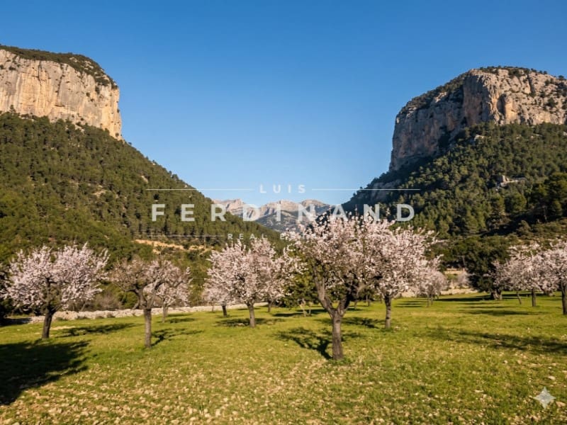 4 soverom Finca/Herregård til salgs i Alaro med svømmebasseng garasje - € 3 600 000 (Ref: 9744101)