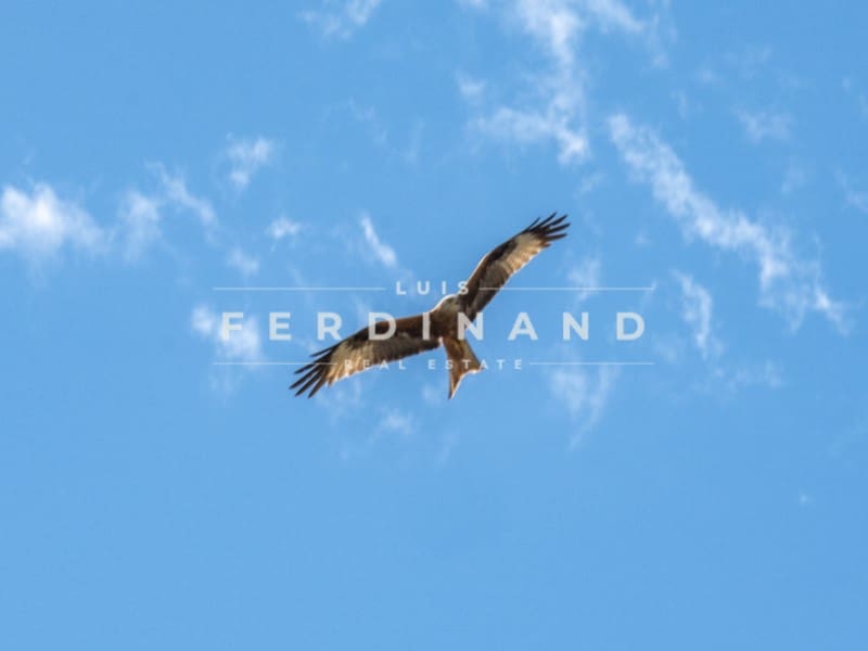 8 camera da letto Finca/Casa di Campagna in vendita in Santa Maria del Cami con piscina garage - 4.500.000 € (Rif: 9761839)