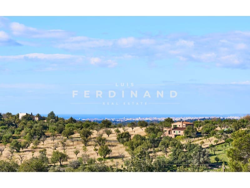 8 camera da letto Finca/Casa di Campagna in vendita in Santa Maria del Cami con piscina garage - 4.500.000 € (Rif: 9761839)