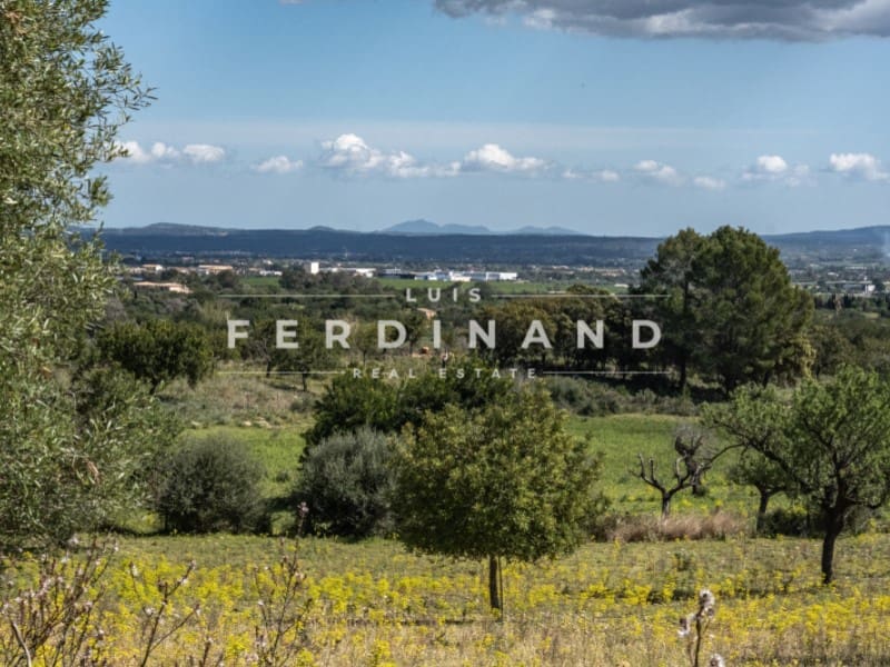 8 camera da letto Finca/Casa di Campagna in vendita in Santa Maria del Cami con piscina garage - 4.500.000 € (Rif: 9761839)