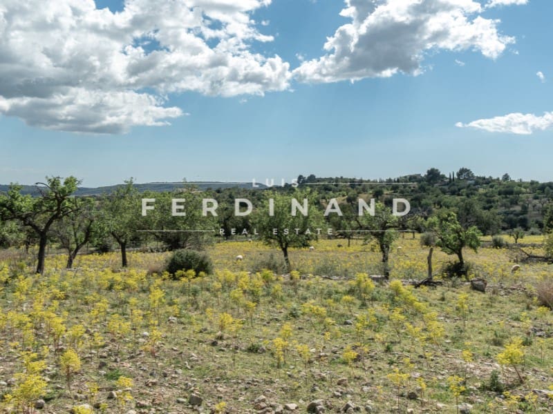 8 camera da letto Finca/Casa di Campagna in vendita in Santa Maria del Cami con piscina garage - 4.500.000 € (Rif: 9761839)