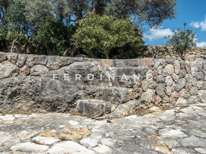 8 camera da letto Finca/Casa di Campagna in vendita in Santa Maria del Cami con piscina garage - 4.500.000 € (Rif: 9761839)