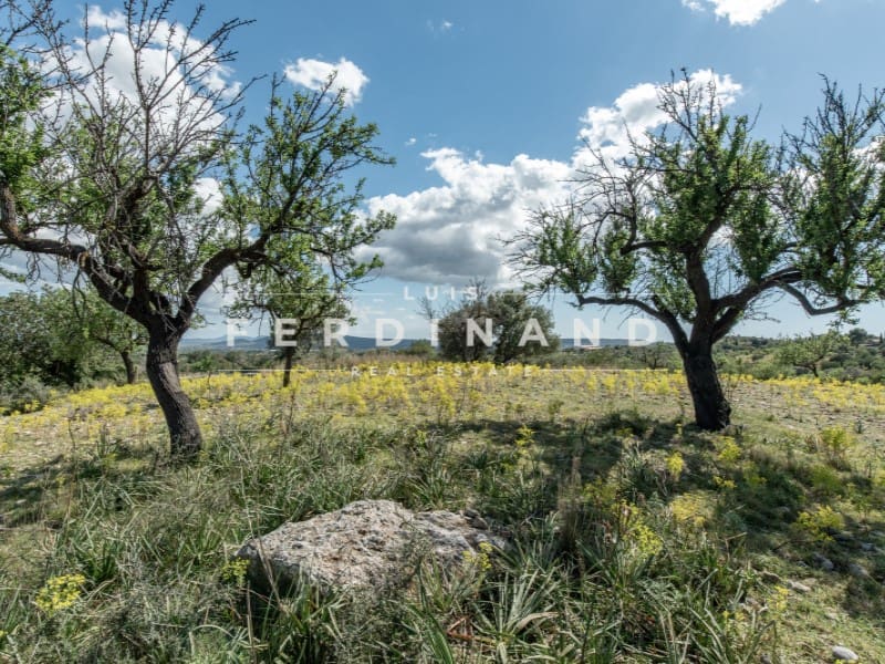 8 camera da letto Finca/Casa di Campagna in vendita in Santa Maria del Cami con piscina garage - 4.500.000 € (Rif: 9761839)