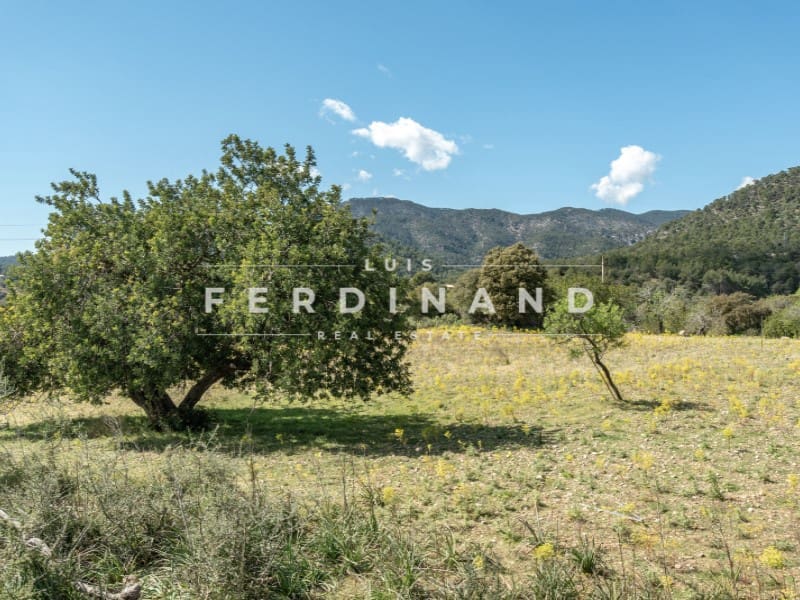 8 camera da letto Finca/Casa di Campagna in vendita in Santa Maria del Cami con piscina garage - 4.500.000 € (Rif: 9761839)