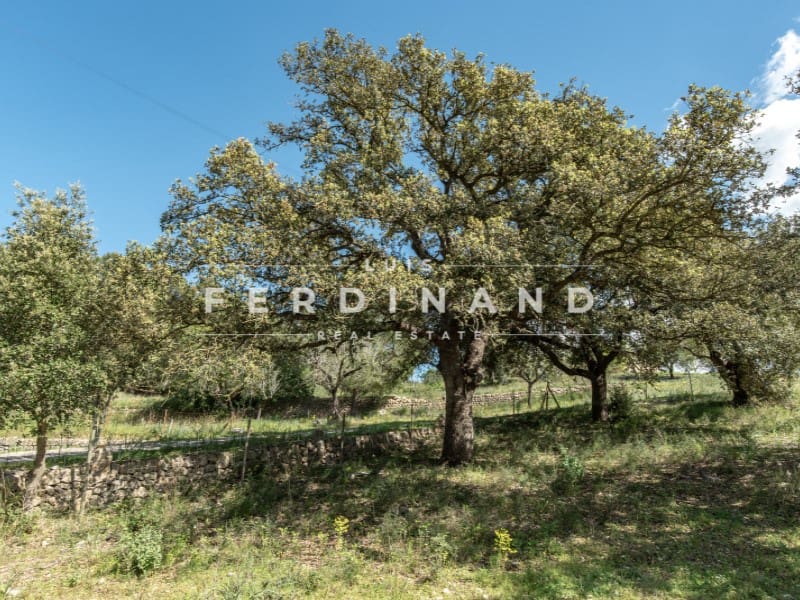 8 camera da letto Finca/Casa di Campagna in vendita in Santa Maria del Cami con piscina garage - 4.500.000 € (Rif: 9761839)