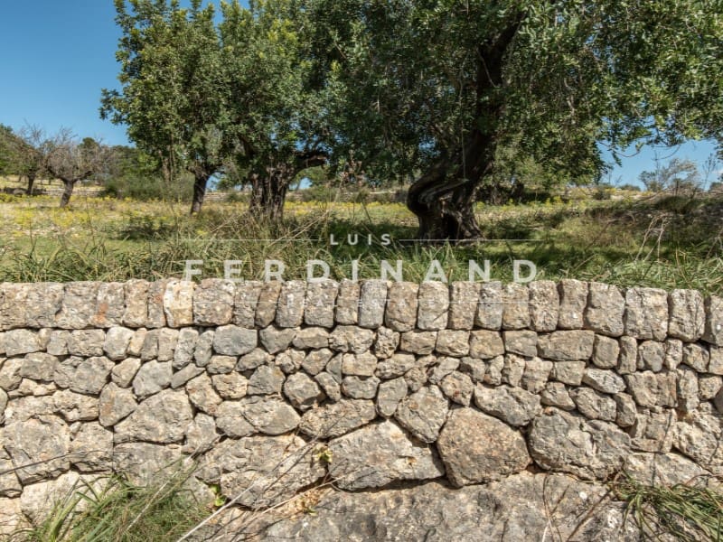 8 camera da letto Finca/Casa di Campagna in vendita in Santa Maria del Cami con piscina garage - 4.500.000 € (Rif: 9761839)