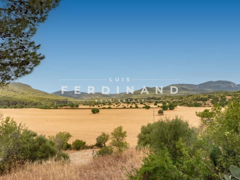 6 sypialnia Finka/Dom wiejski na sprzedaż w Palma de Mallorca z basenem garażem - 3 900 000 € (Ref: 9978492)