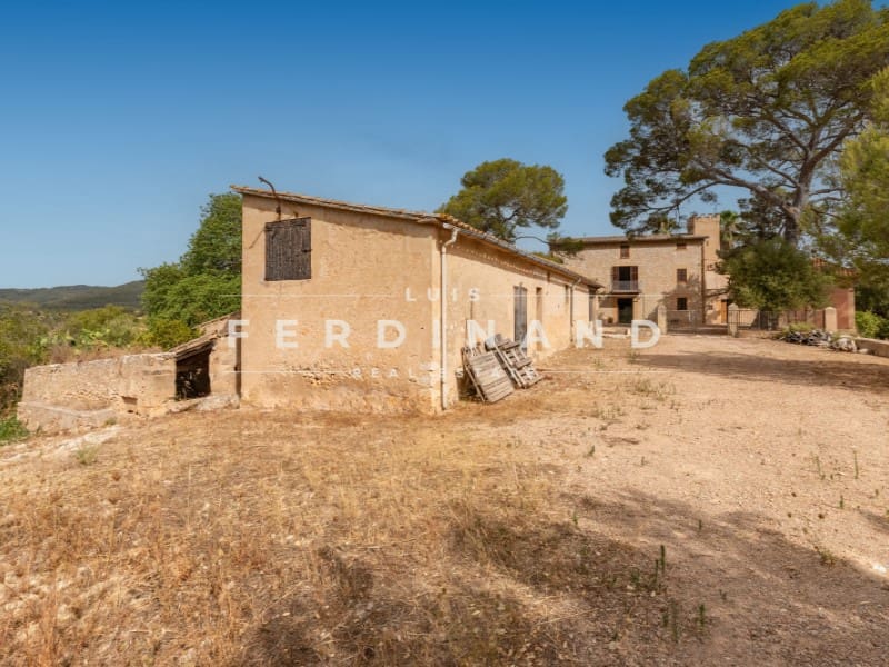 6 sypialnia Finka/Dom wiejski na sprzedaż w Palma de Mallorca z basenem garażem - 3 900 000 € (Ref: 9978492)