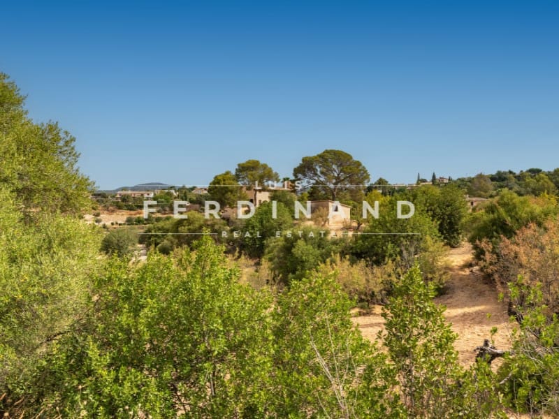 6 sypialnia Finka/Dom wiejski na sprzedaż w Palma de Mallorca z basenem garażem - 3 900 000 € (Ref: 9978492)