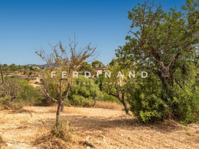 6 sypialnia Finka/Dom wiejski na sprzedaż w Palma de Mallorca z basenem garażem - 3 900 000 € (Ref: 9978492)
