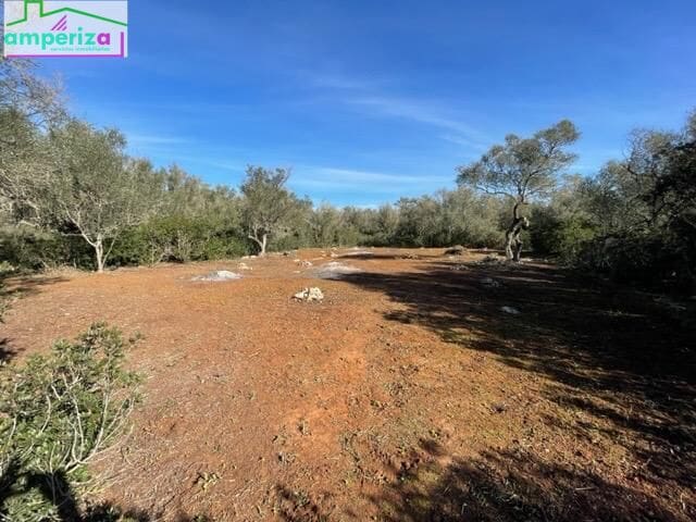 Ubebygd land til salgs i Felanitx - € 790 000 (Ref: 8869785)