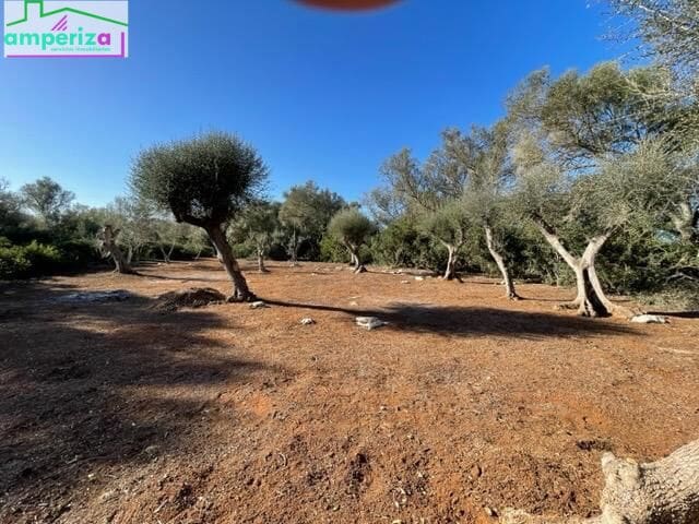 Ubebygd land til salgs i Felanitx - € 790 000 (Ref: 8869785)