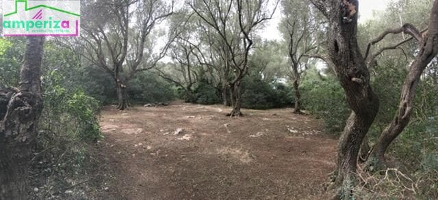 Ubebygd land til salgs i Felanitx - € 790 000 (Ref: 8869785)