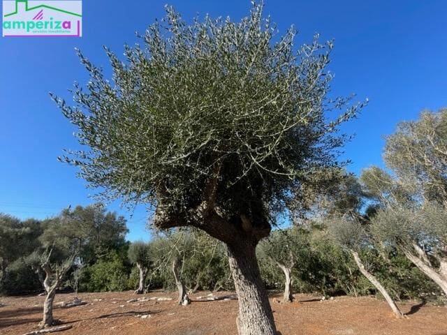 Landgrundstück zu verkaufen in Felanitx - 790.000 € (Ref: 8869785)