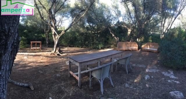 Landgrundstück zu verkaufen in Felanitx - 790.000 € (Ref: 8869785)