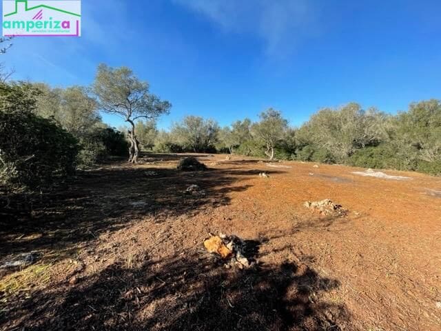 Terre non Aménagée à vendre à Felanitx - 790 000 € (Ref: 8869785)