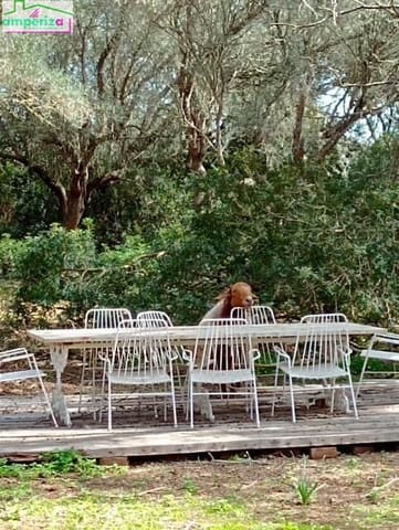 Rakentamaton maa myytävänä paikassa Felanitx - 790 000 € (Ref: 8869785)