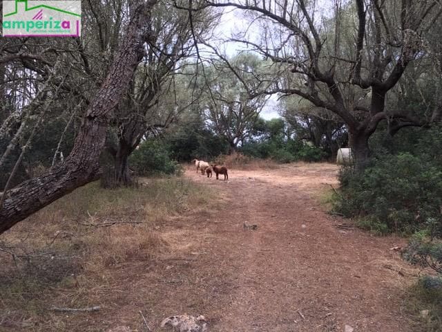 Undeveloped Land for sale in Felanitx - € 790,000 (Ref: 8869785)