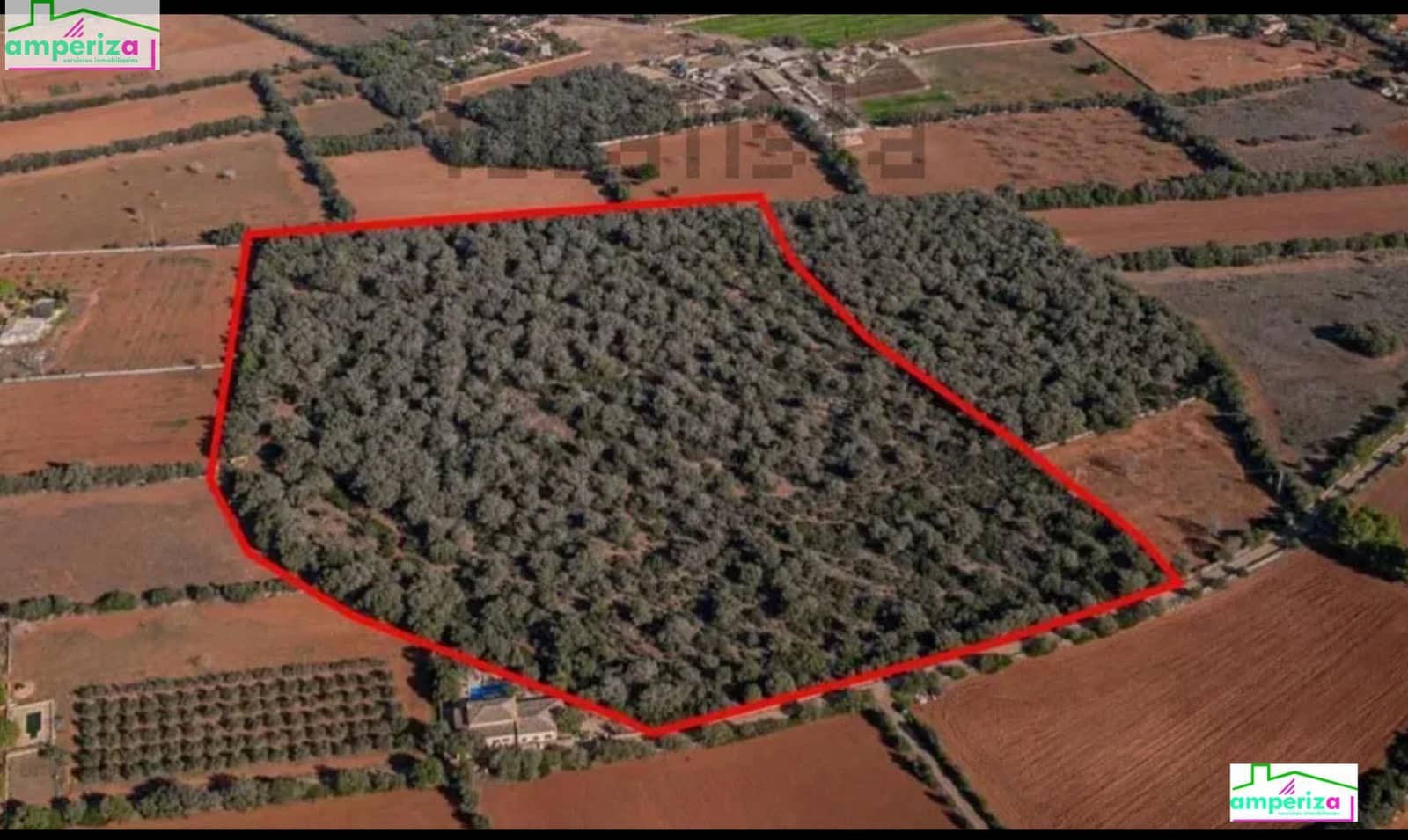 Undeveloped Land for sale in Felanitx - € 790,000 (Ref: 8869785)
