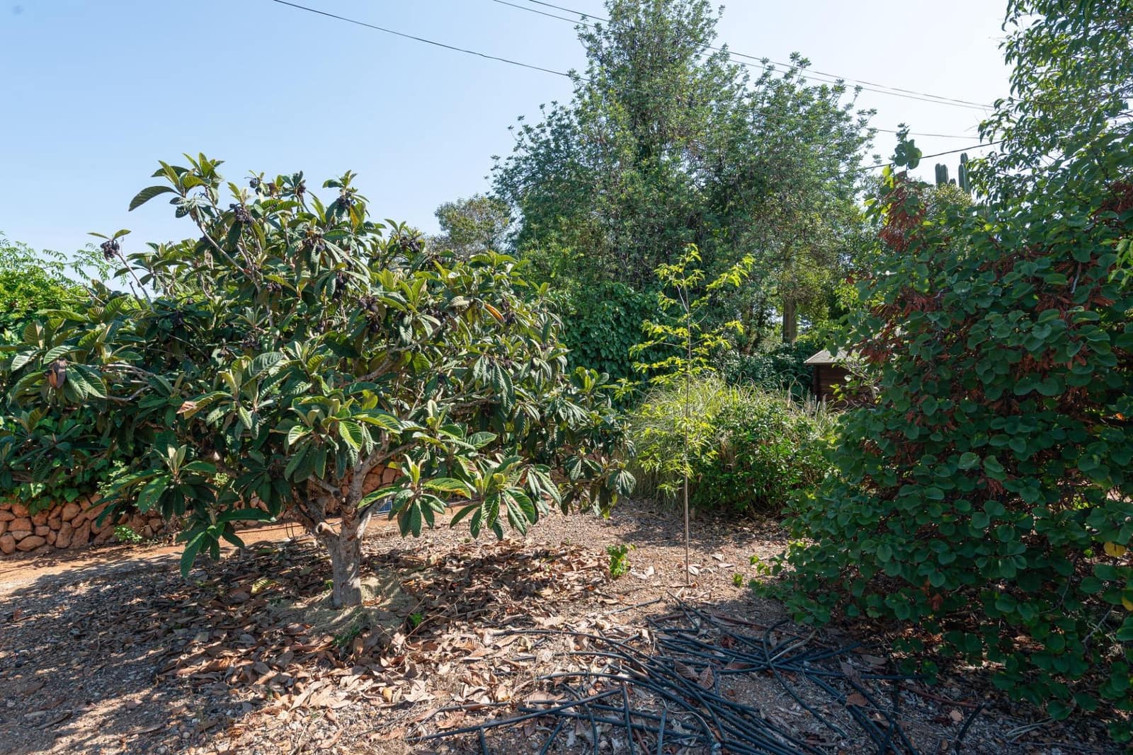 3 slaapkamer Finca/Landhuis te koop in Llucmajor met zwembad - € 625.000 (Ref: 9167370)