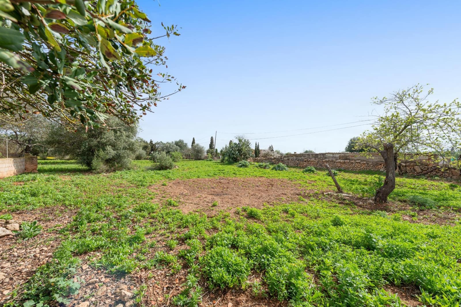 1 sovrum Finca/Hus på landet till salu i Llucmajor - 349 000 € (Ref: 9704974)