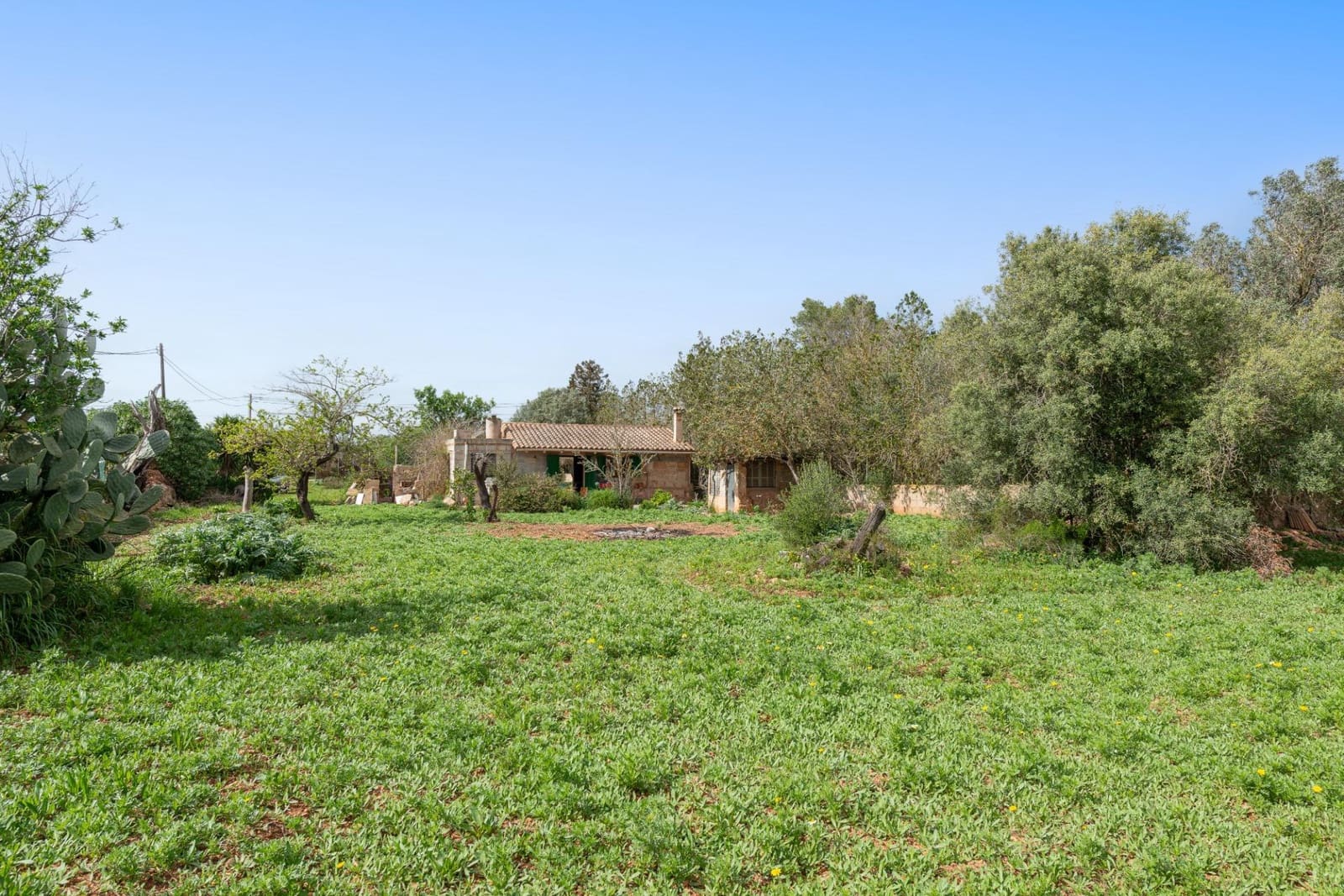 1 sovrum Finca/Hus på landet till salu i Llucmajor - 349 000 € (Ref: 9704974)