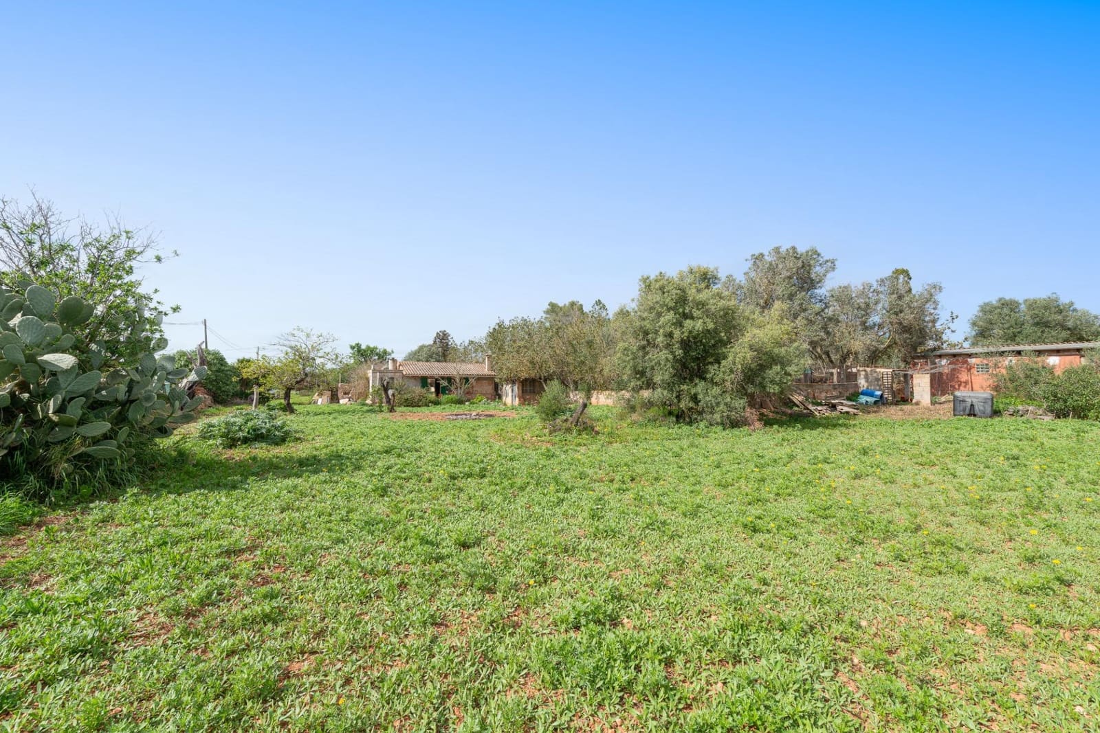 1 sovrum Finca/Hus på landet till salu i Llucmajor - 349 000 € (Ref: 9704974)