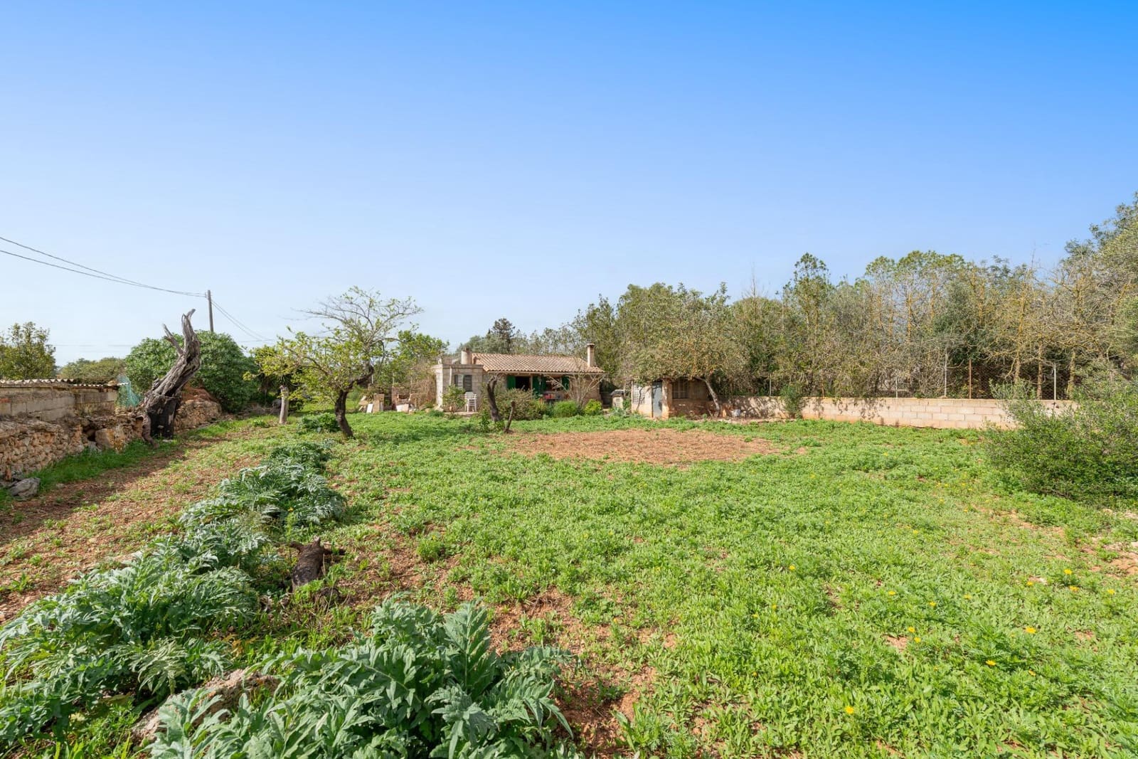 1 sovrum Finca/Hus på landet till salu i Llucmajor - 349 000 € (Ref: 9704974)