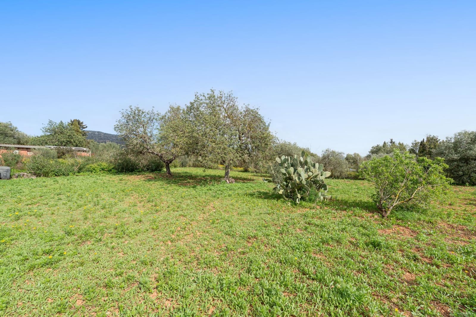 1 sovrum Finca/Hus på landet till salu i Llucmajor - 349 000 € (Ref: 9704974)