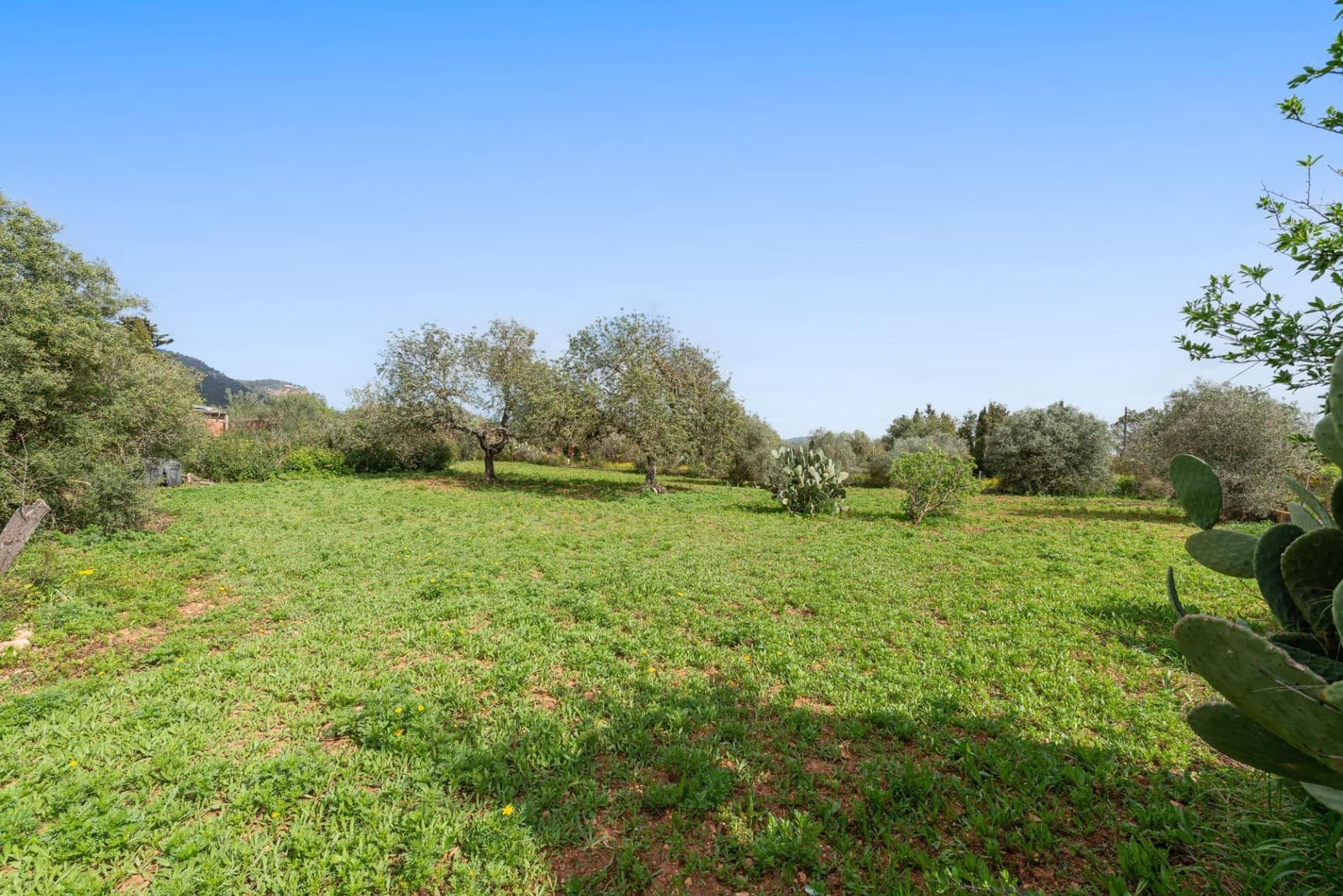 1 bedroom Finca/Country House for sale in Llucmajor - € 349,000 (Ref: 9704974)