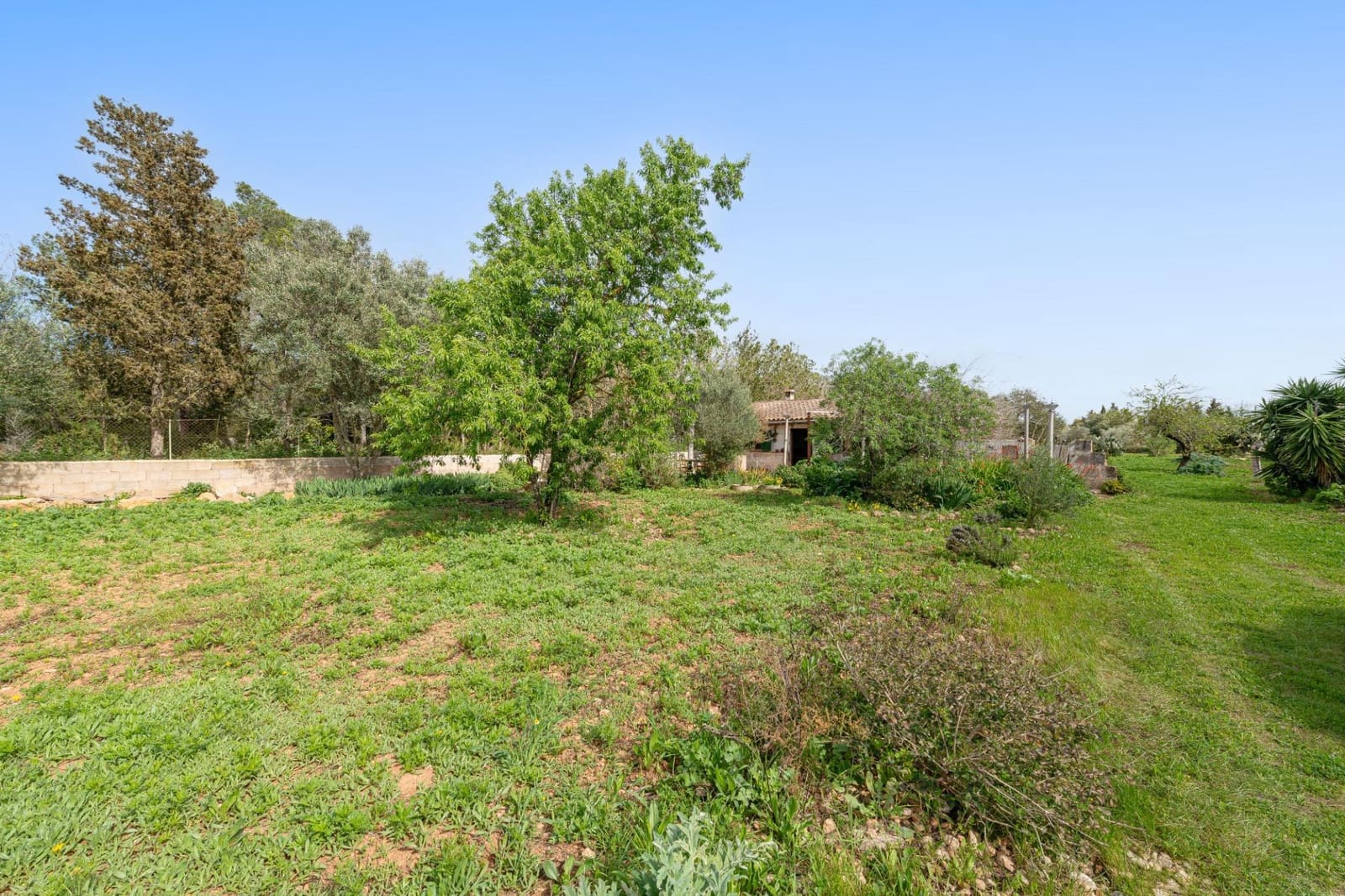 1 bedroom Finca/Country House for sale in Llucmajor - € 349,000 (Ref: 9704974)
